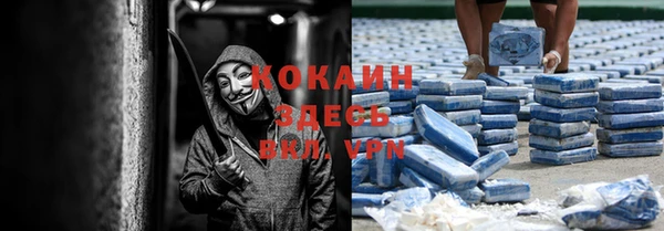 дурь Шадринск