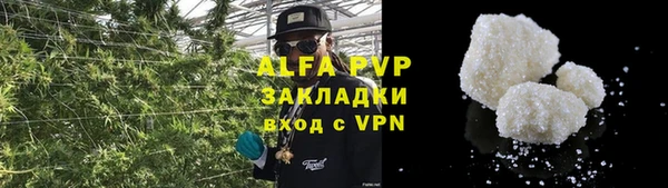 сатива Кинешма