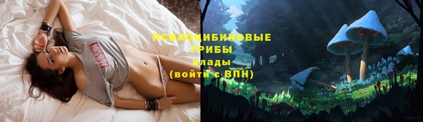 спиды Шали