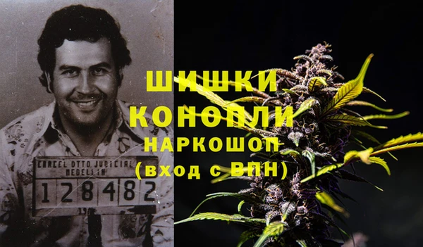сатива Кинешма