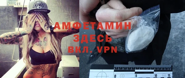 сатива Кинешма
