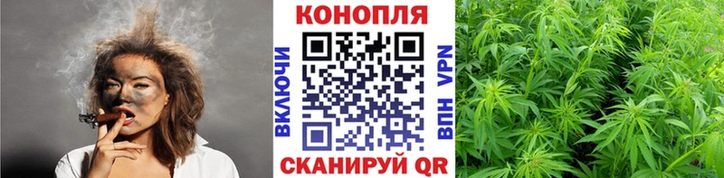 Купить закладки  Мегион  Канабис марихуана 